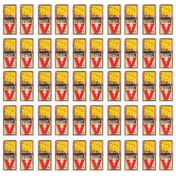 Victor EZ set mouse trap Pack of 50