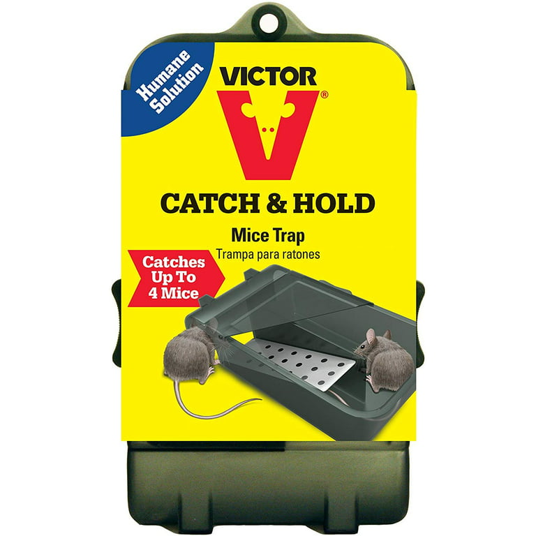 https://i5.walmartimages.com/seo/Victor-Multiple-Catch-Humane-Live-Mouse-Trap-M333-Catch-up-to-4-mice_2136346a-7df4-4e56-9d91-4b52d162fa37_1.9552ae7804755c1f5179dab092c258da.jpeg?odnHeight=768&odnWidth=768&odnBg=FFFFFF