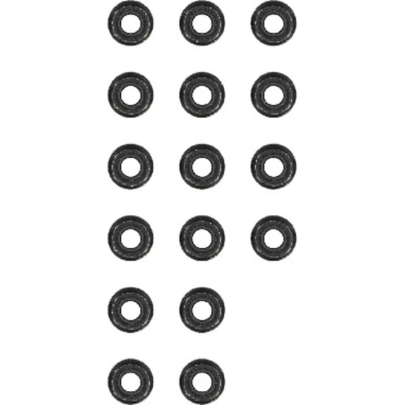 Victor Reinz 12-31306-12 Engine Valve Stem Oil Seal Set
