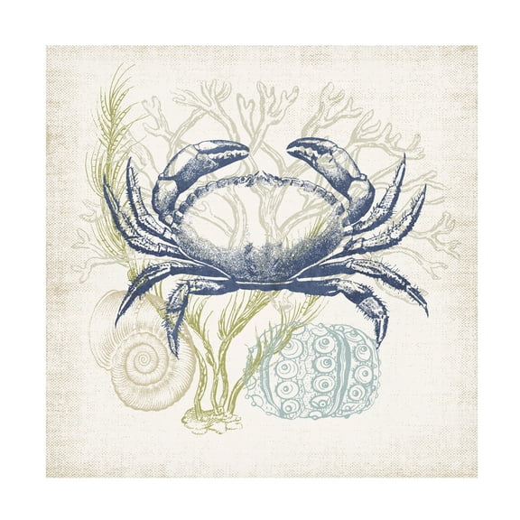 Victoria Barnes 'Antique Coastal Ephemera I' Canvas Art