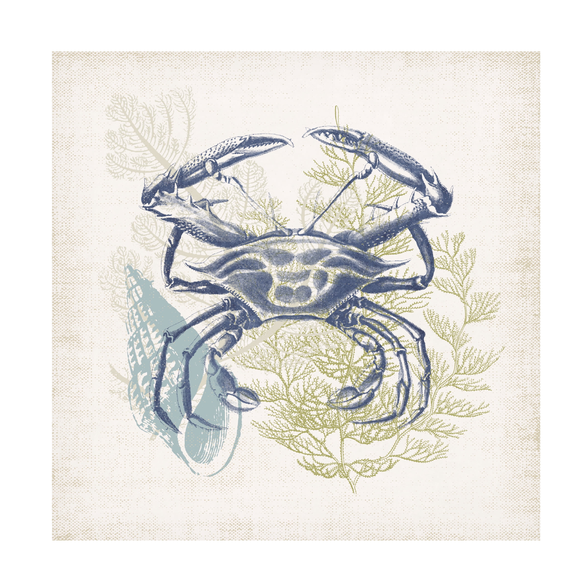 Victoria Barnes 'Antique Coastal Ephemera VI' Canvas Art