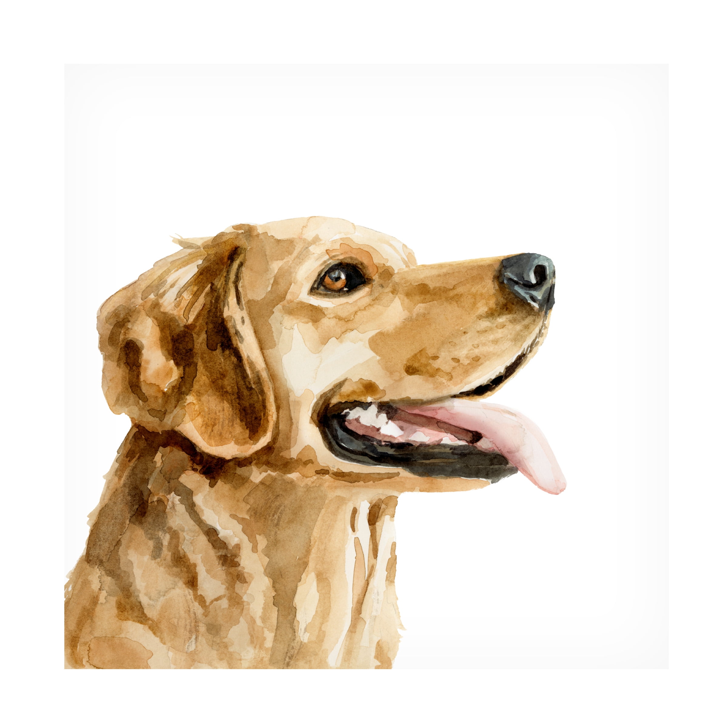 Victoria Barnes 'Pet Profile II' Canvas Art