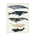 thumbnail image 1 of Victoria Barnes 'Whale Chart II' Canvas Art, 1 of 4