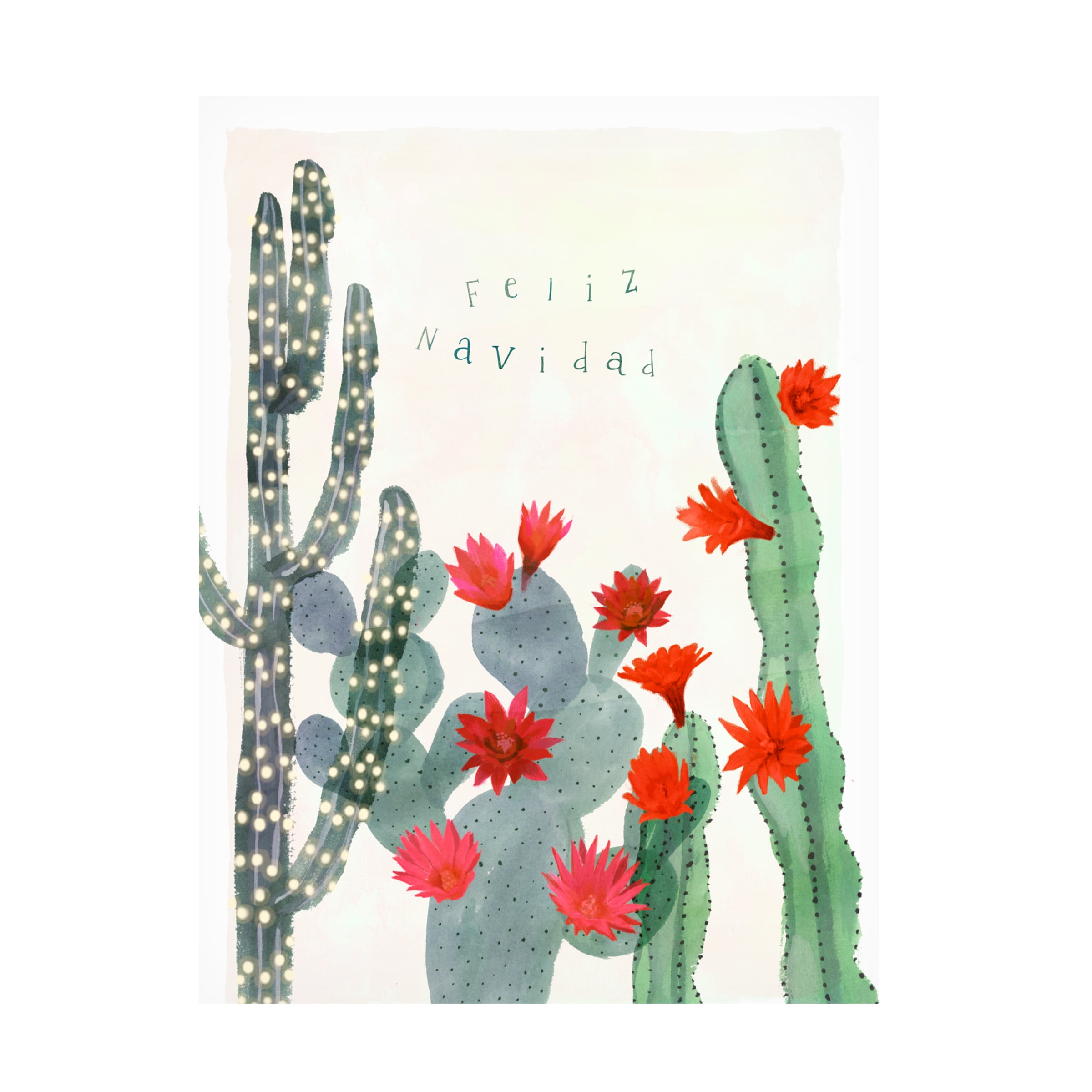 Victoria Borges 'Desert Christmas Cactus II' Canvas Art