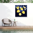 thumbnail image 1 of Victoria Borges 'Fresh Fruit V' Outdoor Canvas, 1 of 3