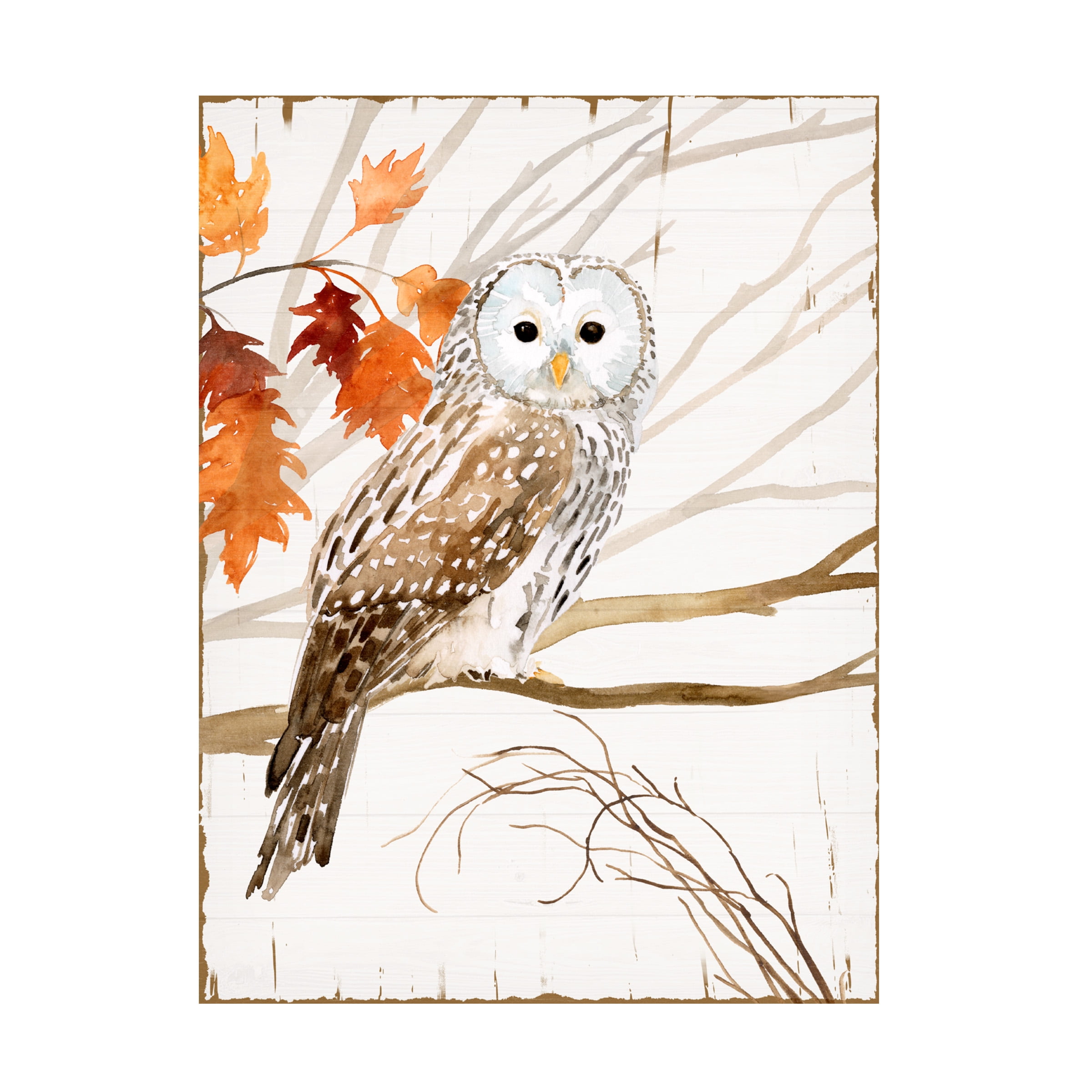 Victoria Borges 'Harvest Owl I' Canvas Art