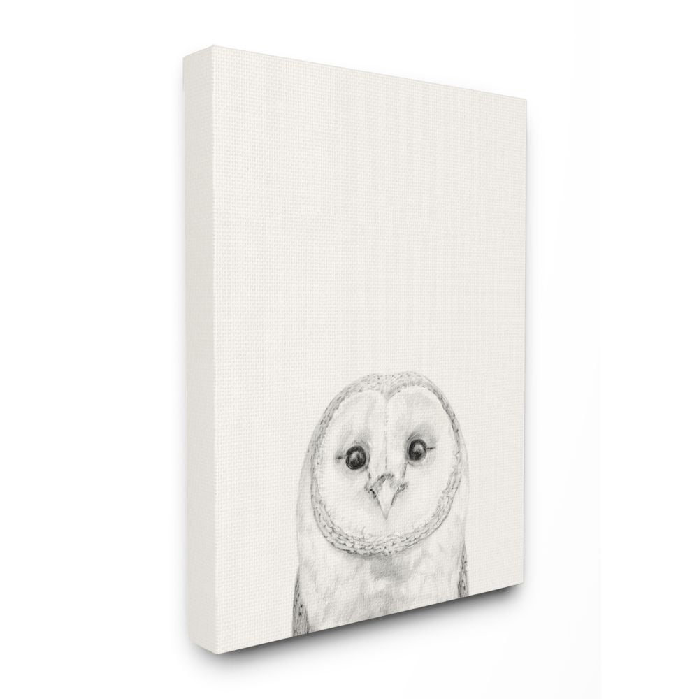 Victoria Borges Owl Portrait Grey Drawing Design 24 in x 30 in Painting Canvas Art Print, by Stupell Home Décor