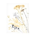 thumbnail image 1 of Victoria Borges 'Summers Souvenir I' Canvas Art, 1 of 3