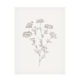 thumbnail image 1 of Victoria Borges 'Wild Foliage Sketch III' Canvas Art, 1 of 3