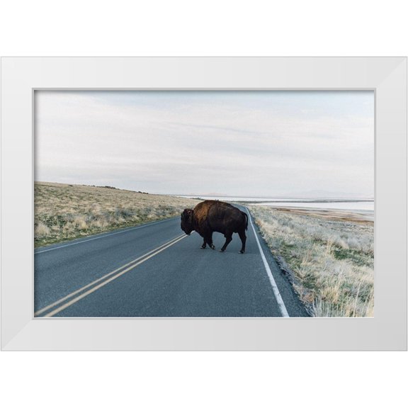 Victoria, Chelsea 14x11 White Modern Wood Framed Museum Art Print Titled - Bison Crossing