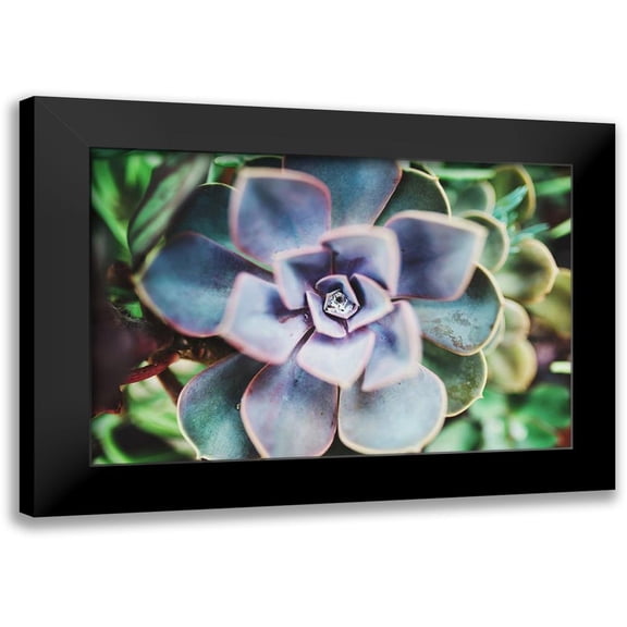 Victoria, Chelsea 24x17 Black Modern Framed Museum Art Print Titled - Succulence Beauty