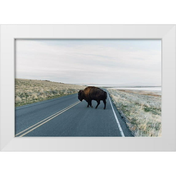 Victoria, Chelsea 32x23 White Modern Wood Framed Museum Art Print Titled - Bison Crossing