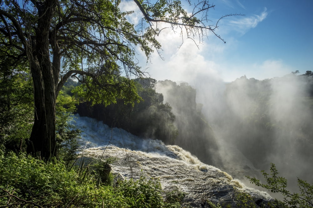 Victoria Falls Zimbabwe Canvas Art - Remsberg Inc Design Pics (38 x 24)