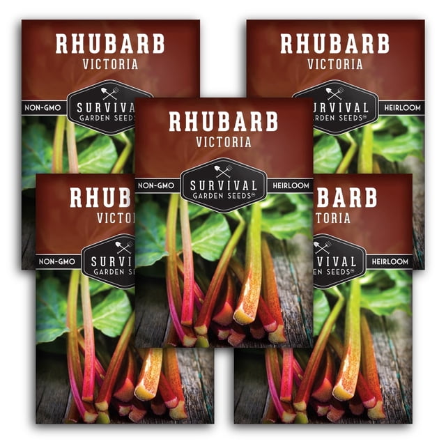 Victoria Rhubarb Seeds - Full Sun Perennial Vegetable - 5 Packs ...