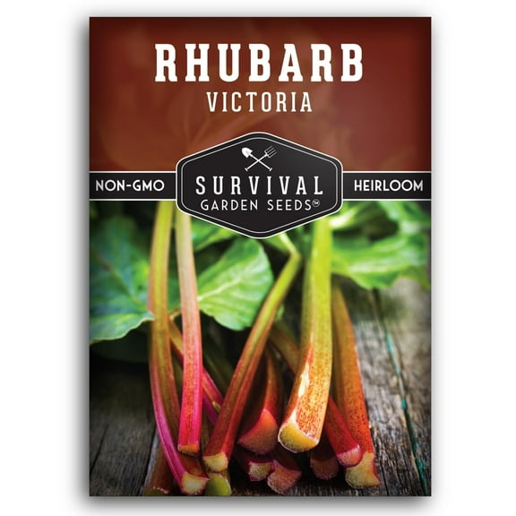 Victoria Rhubarb Seeds for Planting - Grow Cold-Tolerant Perennial Spring Vegetables / Fruit in Your Home Garden - Non-GMO Heirloom Variety (1 Pack)