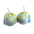 thumbnail image 1 of Victoria's Secret Dream Angels Embroidered Lightly Lined Bra Blue Floral Lace Lemons, 36DD NWT, 1 of 2
