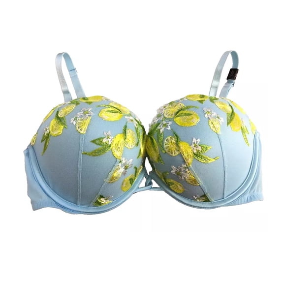 Victoria's Secret Dream Angels Embroidered Push Up Bra Blue Floral Lemons Lace, 34D NWT