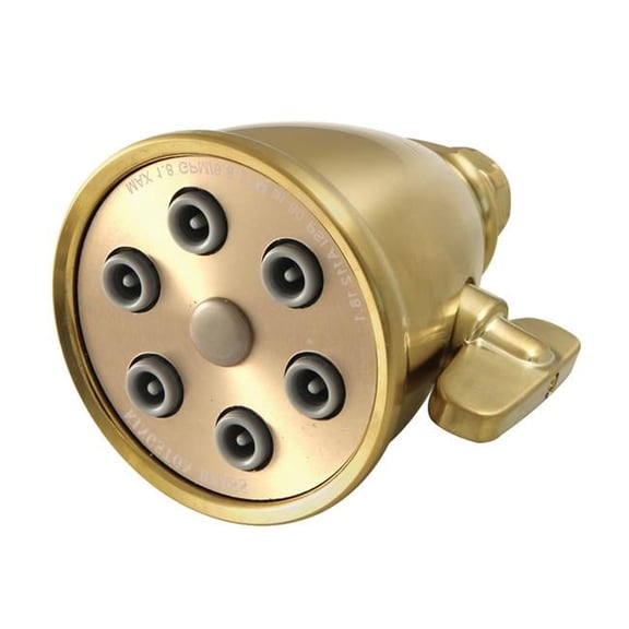 Victorian Adjustable Jet Spray Shower Head, Brushed Brass