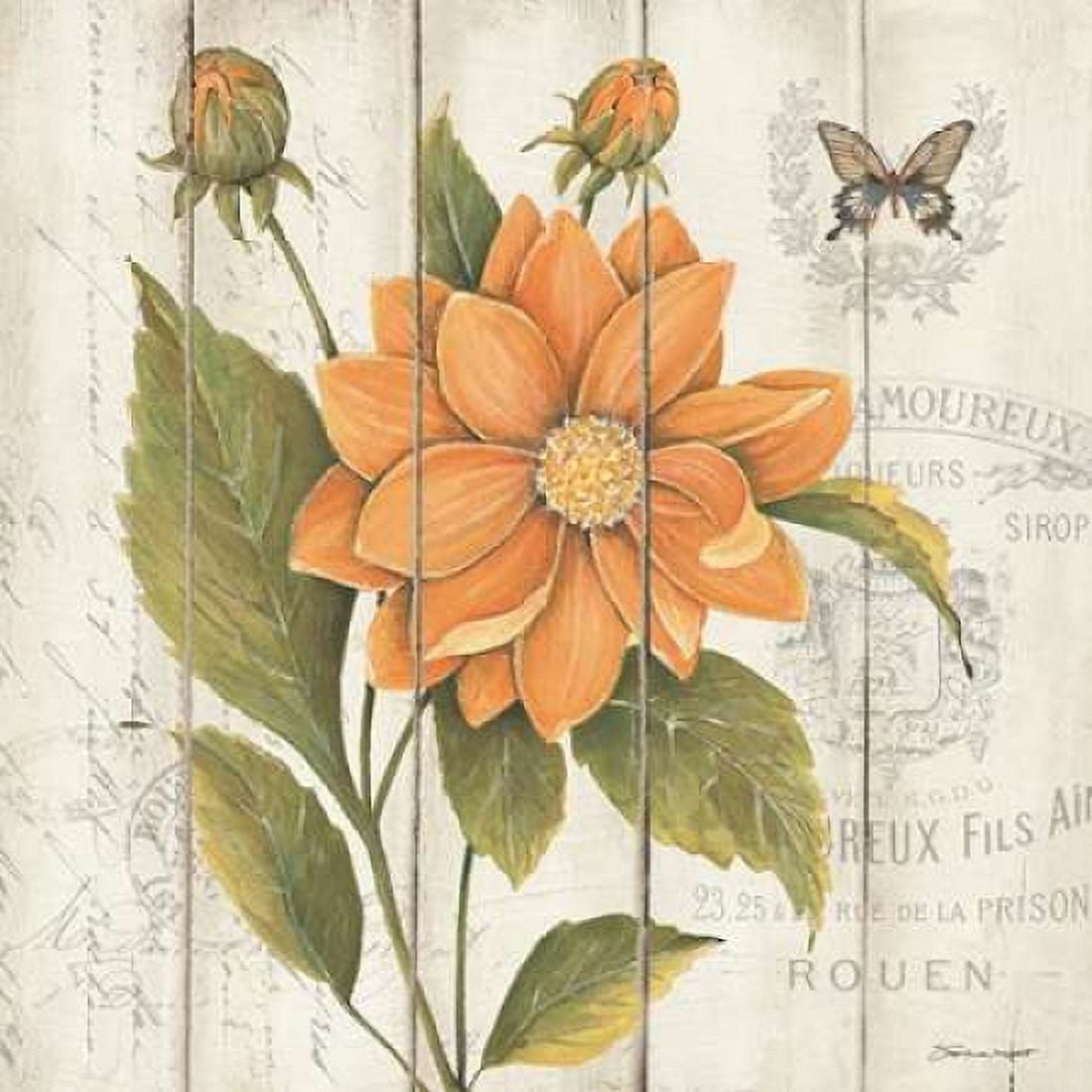 Victorian Dahlia Canvas Art - Stephanie Marrott (24 x 24)