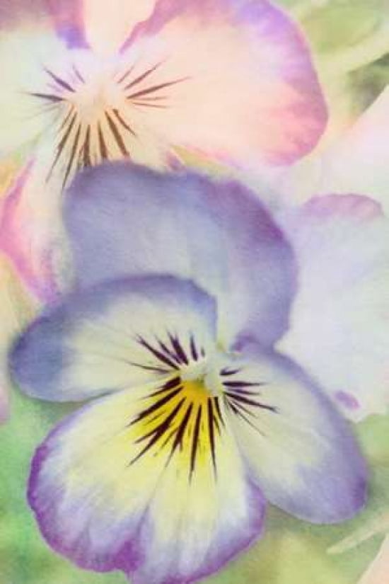 Victorian Flowers Canvas Art - Roberta Murray (12 x 18)