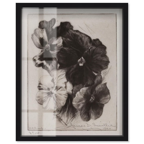 Victorian Pansies Shadowbox Print Vintage Art by Art Remedy, Black Frame, 16 x 20