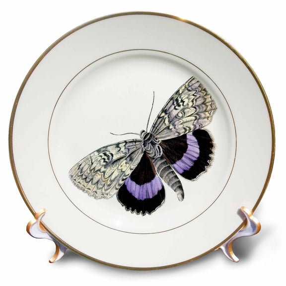 3dRose, Victorian Purple n Ivory Butterfly, 8 inch Porcelain Plate