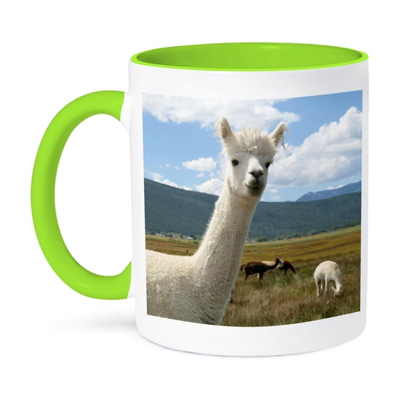 3dRose, Victory Ranch Alpaca farm, Mora, New Mexico - US32 JMR0359 - Julien McRoberts, 11oz Two-Tone Green Mug