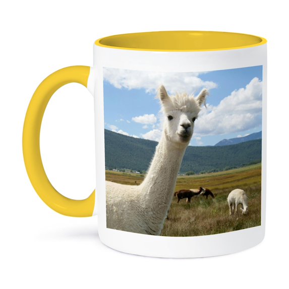 3dRose, Victory Ranch Alpaca farm, Mora, New Mexico - US32 JMR0359 - Julien McRoberts, 15oz Two-Tone Yellow Mug