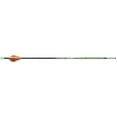 thumbnail image 1 of Victory Archery VAP Gamer 250 Spine Fletched - 6 Pack, 1 of 2