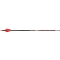 thumbnail image 1 of Victory Archery VAP Sport 350 Spine Fletched - 6 Pack, 1 of 2