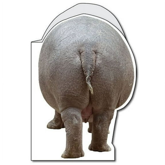 VictoryStore Giant Birthday Card (Hippo) With Envelope, 2'w x 3'h