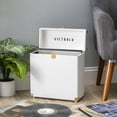 thumbnail image 1 of Victrola Storage case for Vinyl Turntable Records, 1 of 6