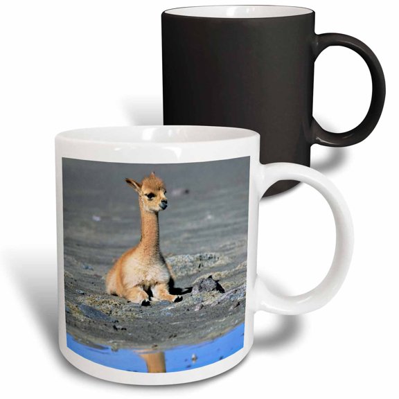 3drose, Vicuna Calf Wildlife, Salar De Surire, Chile - Sa05 Mzw0034 - Martin Zwick, 11oz Magic Transforming Mug