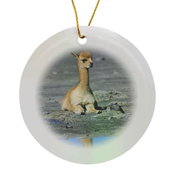 3drose, Vicuna Calf Wildlife, Salar De Surire, Chile - Sa05 Mzw0034 - Martin Zwick, Circle Porcelain Ornament