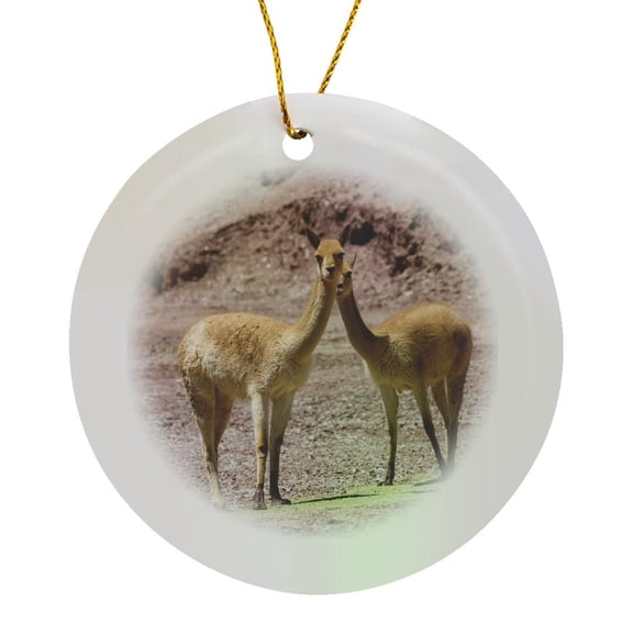 3drose, Vicuna in the Altiplano of Argentina Near Tolar Grande., Circle Porcelain Ornament