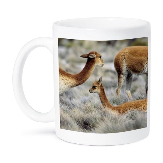 3dRose, Vicuna wildlife, Altiplano, Chile - SA05 MZW0083 - Martin Zwick, 11oz Mug