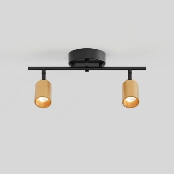 Shura Black & Brass 2-Light Track Light with Rotatable Heads, Integrated LED Bulbs, 3000K