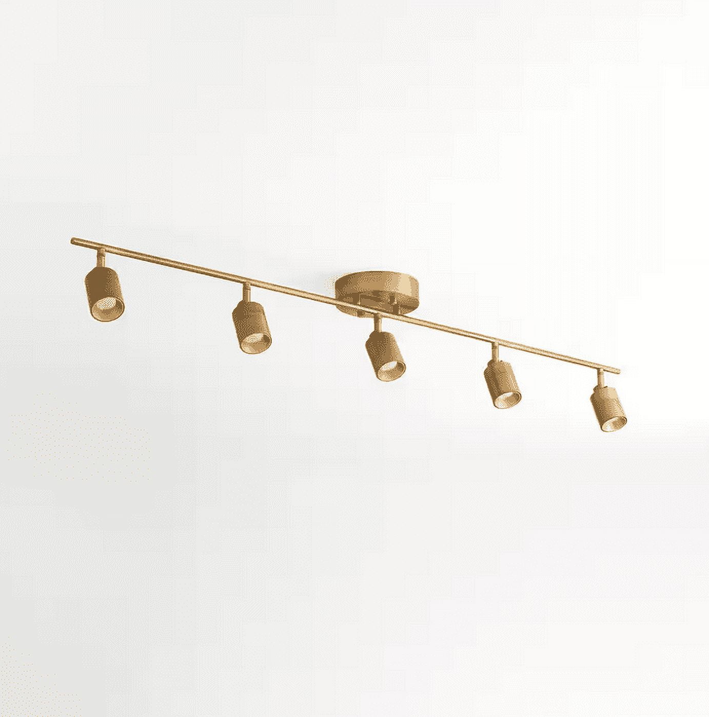 Shura 48" Brushed Brass LED Track Light with Adjustable Heads