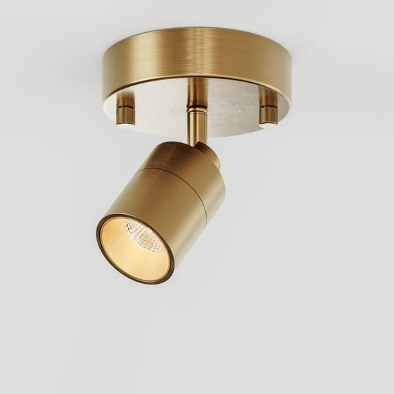 Shura Brushed Brass Spotlight Sconce, Adjustable Head, Integrated LED Bulb, 3000k, 490L