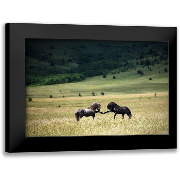 Vidak, Vedran 14x11 Black Modern Framed Museum Art Print Titled - Peace