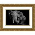thumbnail image 1 of Vidak, Vedran 24x17 Gold Ornate Wood Framed with Double Matting Museum Art Print Titled - Untitled, 1 of 4
