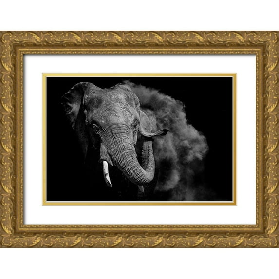 Vidak, Vedran 24x17 Gold Ornate Wood Framed with Double Matting Museum Art Print Titled - Untitled