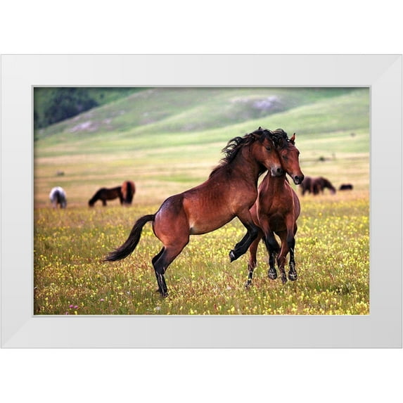 Vidak, Vedran 24x18 White Modern Wood Framed Museum Art Print Titled - The Game