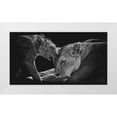 thumbnail image 1 of Vidak, Vedran 32x19 White Modern Wood Framed Museum Art Print Titled - Lion Family, 1 of 4