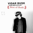 thumbnail image 1 of Vidar Busk - Best of Busk - Music & Performance - CD, 1 of 2