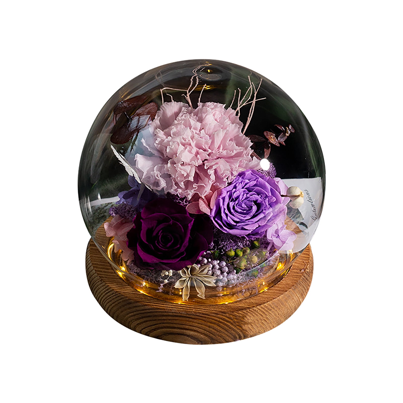 Video Game Ornament Cement Garden Outdoor Truths of Modern Dressage