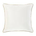 thumbnail image 1 of Videri Home 20"x20" Cream/Beige Velvet Decorative Throw Pillow Covers, Neutral for Any Room(2 Pack), 1 of 6