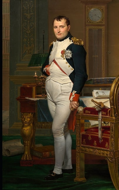 Vie De Napoléon (Paperback)