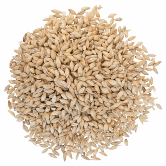 Vienna Malt 3.5L for Brewing Base Malted Barley for Beer Making, Home Brewing & Malt-Forward Recipes 1 lb Whole Grain