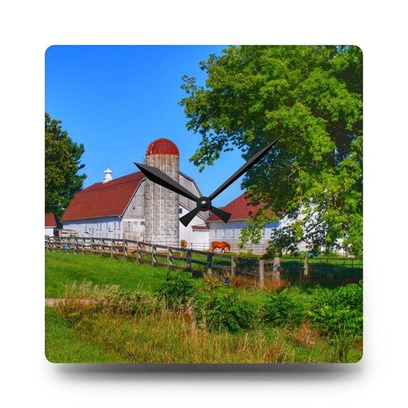 U R There Photography Vienna Roadside White Rustic Farmhouse Acrylic Analog Wall Clock